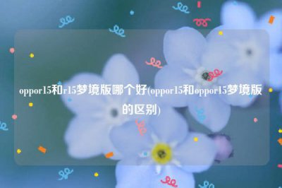 ​oppor15和r15梦境版哪个好(oppor15和oppor15梦境版的区别)