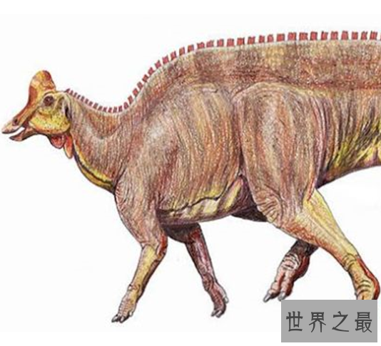 世界最大的史前动物Top10，如今已经全部都灭绝了。