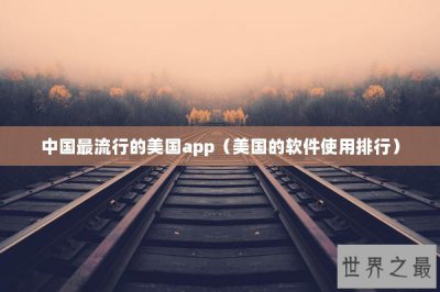 ​中国最流行的美国app（美国的软件使用排行）