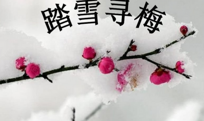 ​踏雪寻梅的意思是什么（踏雪寻梅这个成语典故的出处）