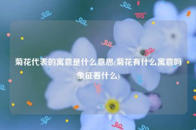 ​菊花代表的寓意是什么意思(菊花有什么寓意吗象征着什么)