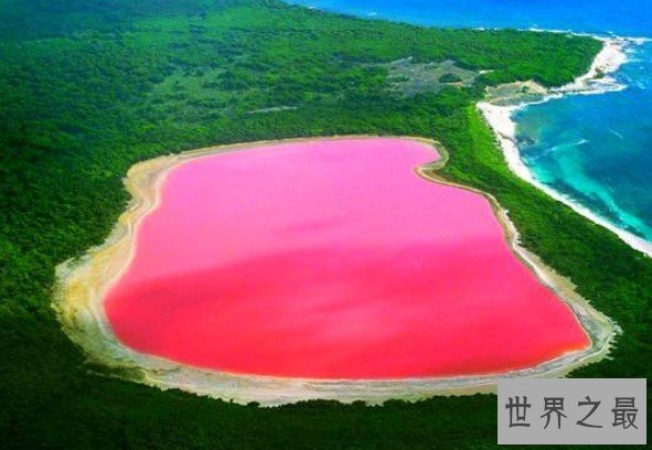 世界最浪漫粉色希勒湖，天然粉色湖面美的让人窒息