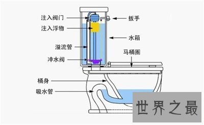 马桶冲水方式如果不够好 那真的是巨大的麻烦