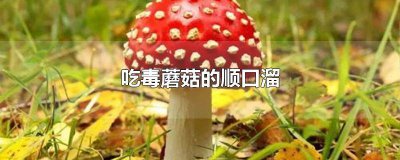 ​云南吃毒蘑菇中毒顺口溜 不吃毒蘑菇口号