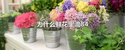 ​为什么鲜花里滴露消毒液是黑色的 鲜花里面可以加滴露消毒液吗