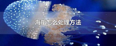 ​海蜇的处理方法视频 海蜇头怎么处理视频