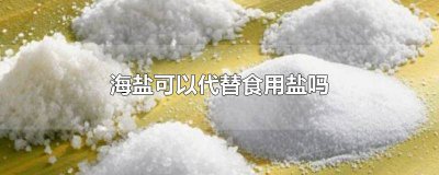 ​盐可以代替海盐吗 海盐能用普通盐代替吗