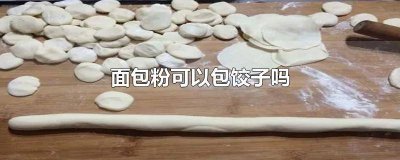 ​面包粉能烙饼吗 烙面饼用什么面粉