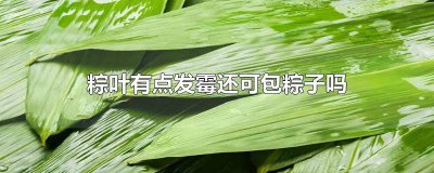 ​粽叶发霉里面的粽子好的 发霉的粽叶还能包粽子吗