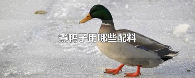 ​煮鸭子用哪些配料好 煮鸭子要什么配料