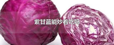 ​紫甘蓝可以直接炒着吃吗 紫甘蓝能炒着吃不