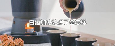 ​喝白酒加冰块好吗 喝白酒能放冰块吗为什么