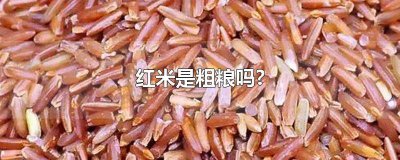 ​大米是粗粮吗?含糖量高吗 红大米含糖量高吗能吃吗