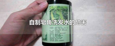 ​皂角煎水洗发有什么好处 皂角泡水洗头发的功效与副作用