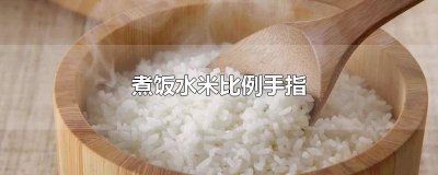 ​蒸米饭水和米的比例用手指怎么量 蒸米饭放多少水用手指量