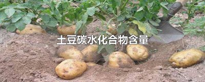 ​土豆含碳水化合物是多少 土豆的碳水化合物含量是多少克