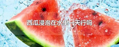 ​西瓜放水里泡能几天 西瓜能不能泡在水里一天