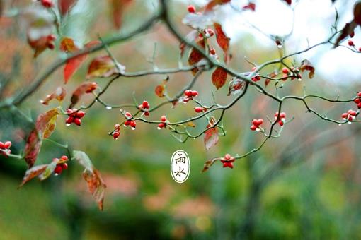 24节气雨水的传统习俗