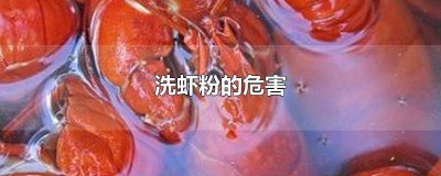 ​洗虾粉的危害