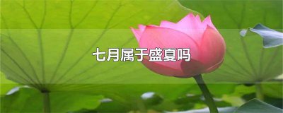 ​盛夏是七月还是八月 7月份算盛夏吗