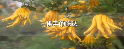 ​蔬菜佛手可以生吃吗 佛手菜咋吃好