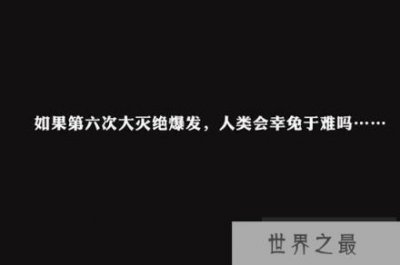 ​蜜蜂灭绝或引发多米诺效应导致第六次大灭绝