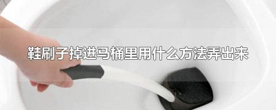 ​刷鞋刷子掉进马桶怎么弄 鞋刷子掉进马桶里了怎么办