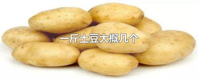 ​土豆一斤有几个 一斤土豆多少个