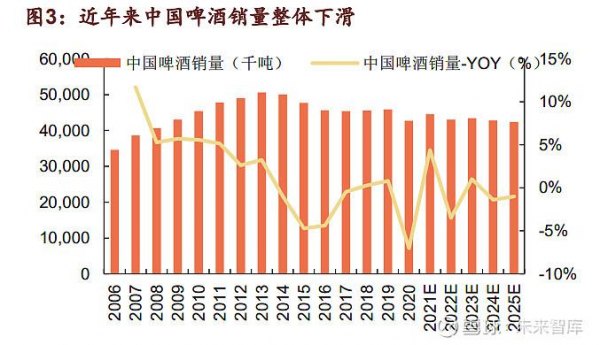 啤酒销量下滑报告