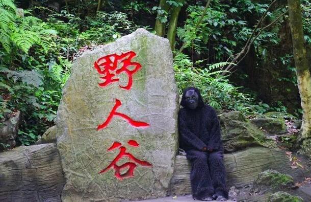 探秘神农架真的有野人吗（野人到底长什么样子）  2