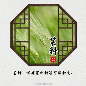 ​是农历二十四节气中的第9个节气，夏季的第三个节气