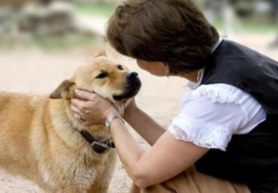 ​最女孩子养的小型犬最适合女孩子养的小型犬