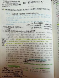 ​人教版七年级语文上册《植树的牧羊人》课堂笔记手写附课文分析